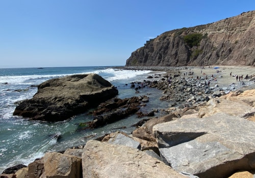 Finding the Best Dana Point Movers: Your Ultimate Guide